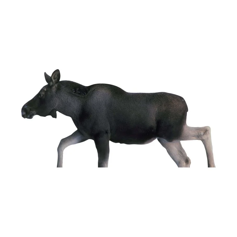Miniatyrbild 2