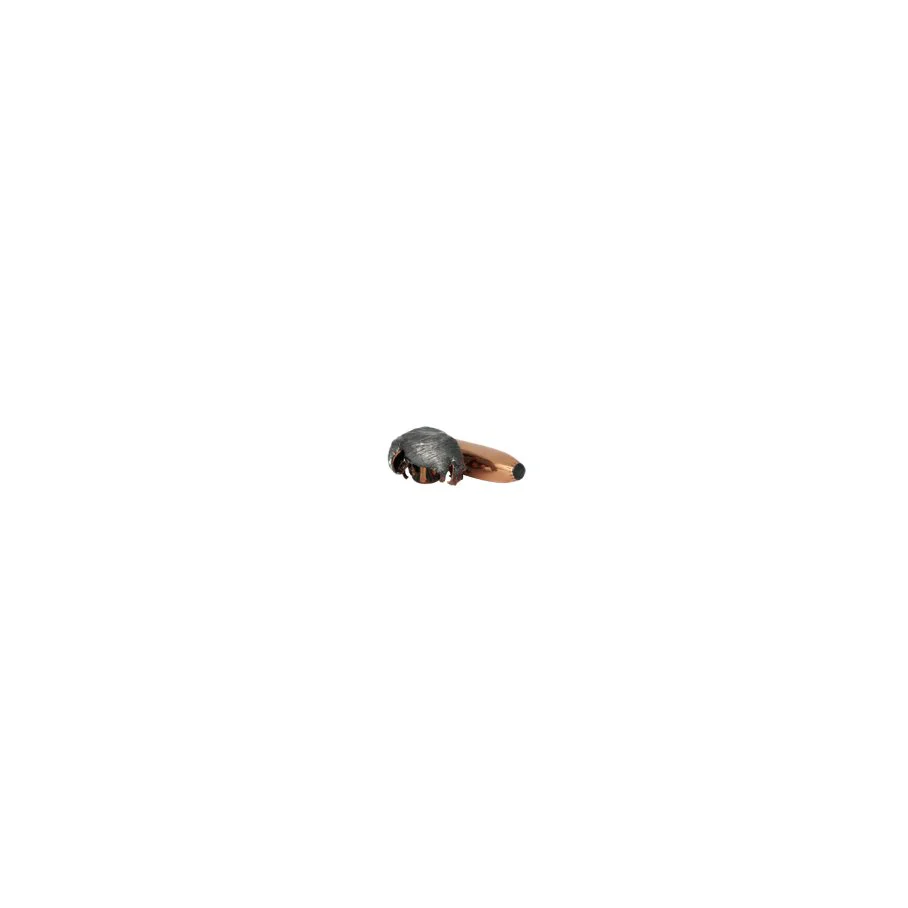 Miniatyrbild 2